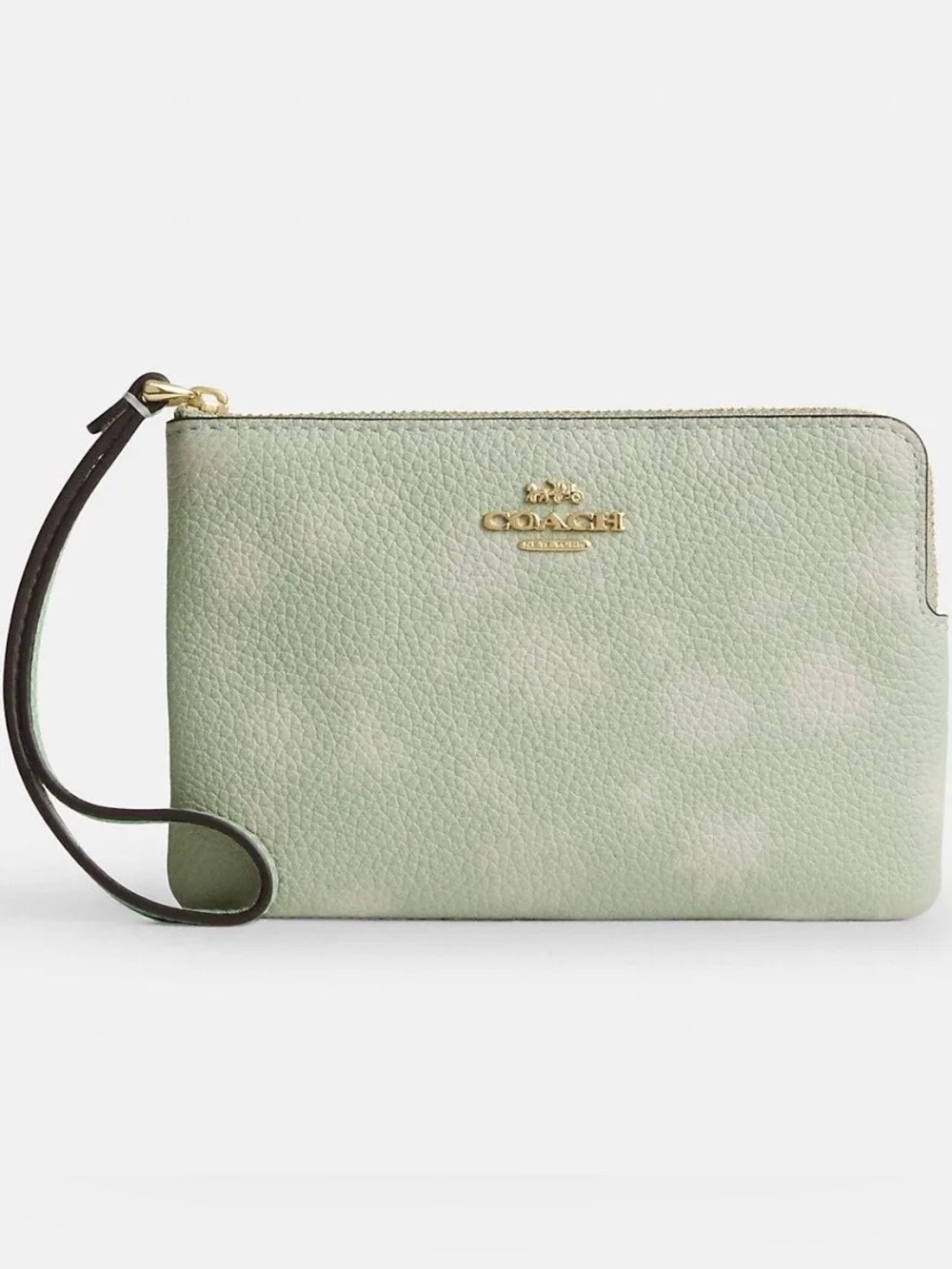 Coach Women’s Corner Zip Wristlet With Floral Print Pale Green